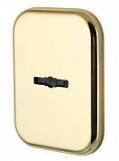 Картинка Декоратив. Квадратная накл. на сув. замок со шторкой ARMADILLO PS-DEC SQ CT (ATC Protector 1) GP-2 Золото